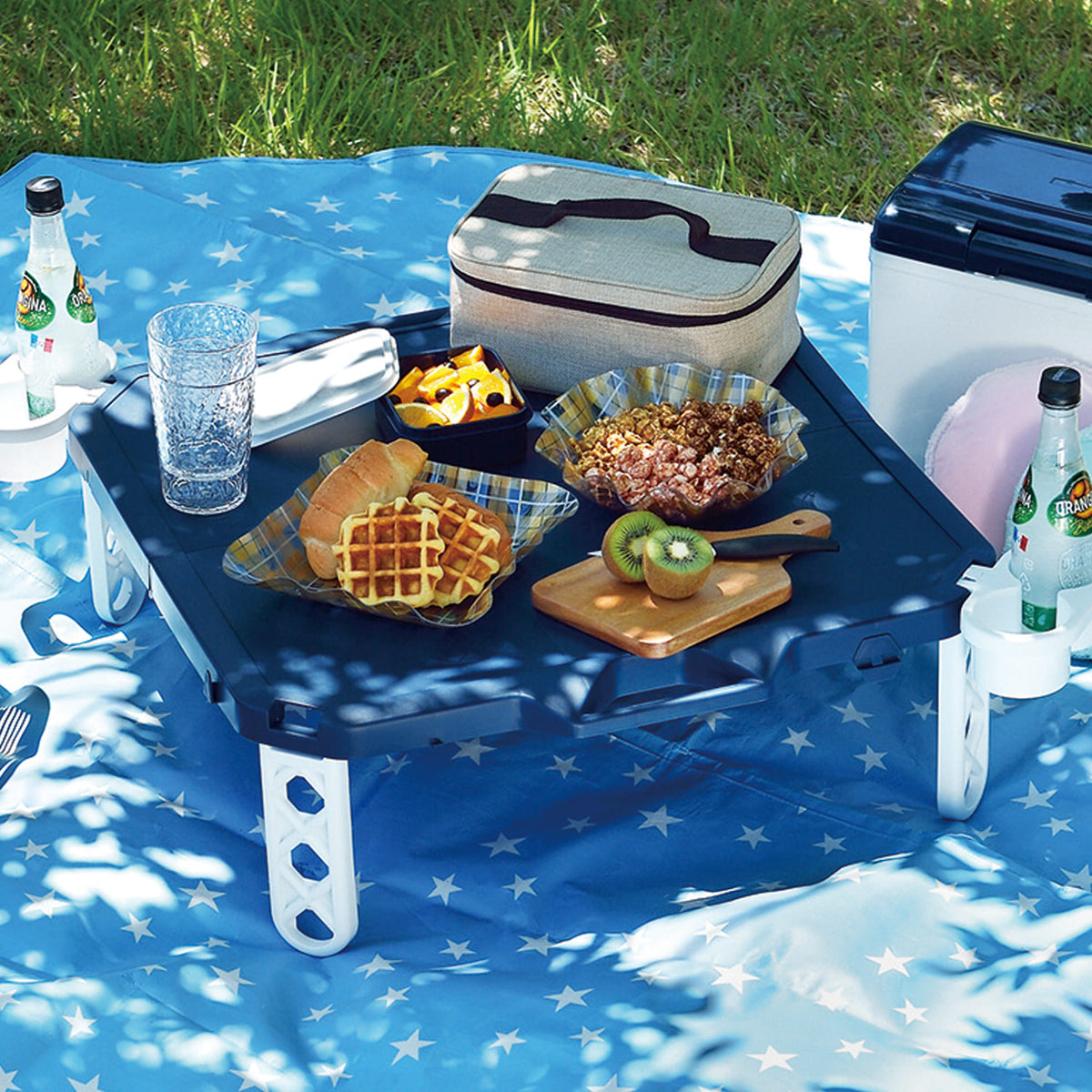 picnic-